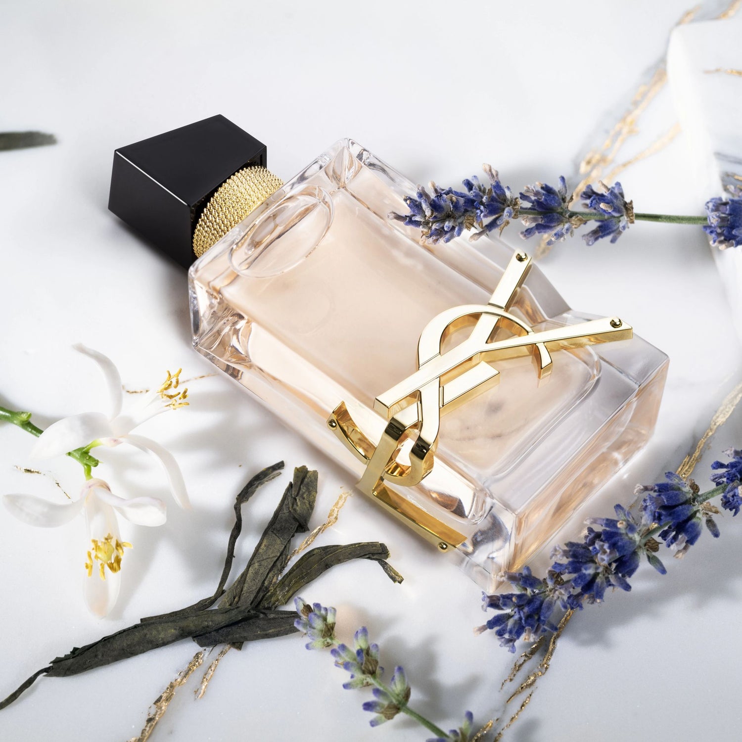 Fragance for Her - GG Market Essentials